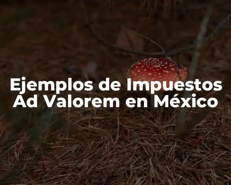 Ejemplos de Impuestos Ad Valorem en México
