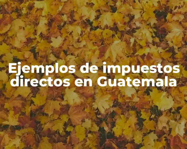 Ejemplos de impuestos directos en Guatemala