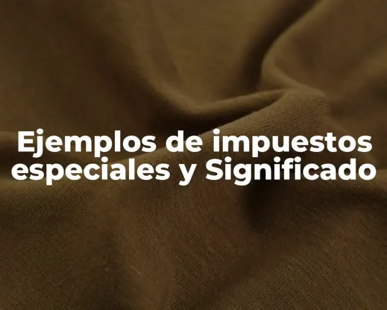 Ejemplos de impuestos especiales y Significado