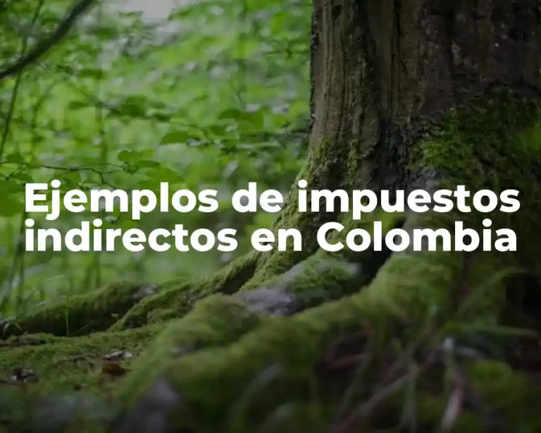 Ejemplos de impuestos indirectos en Colombia