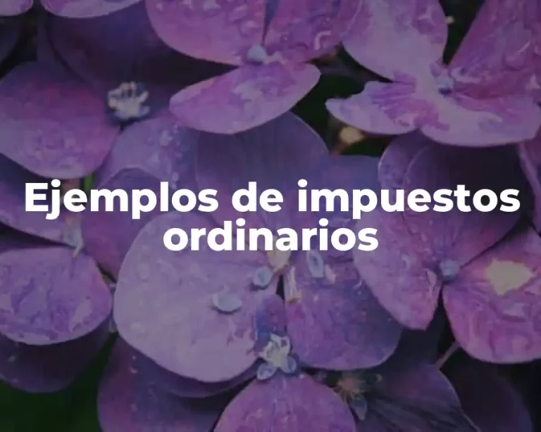 Ejemplos de impuestos ordinarios