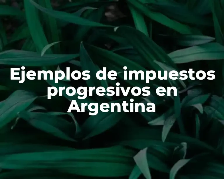 Ejemplos de impuestos progresivos en Argentina