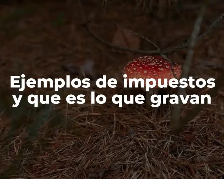 Ejemplos de impuestos y que es lo que gravan