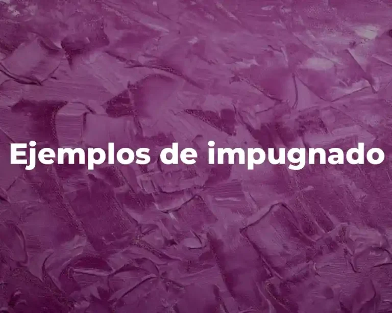 Ejemplos de impugnado