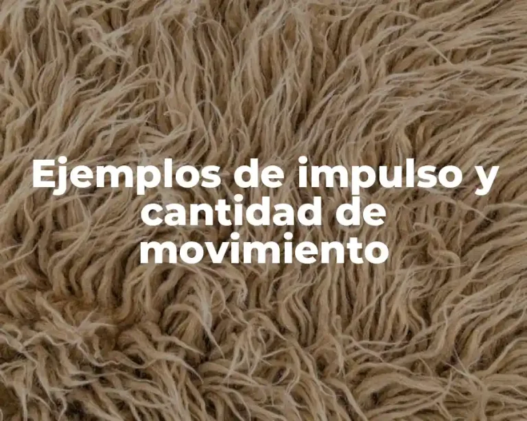 Ejemplos de impulso y cantidad de movimiento