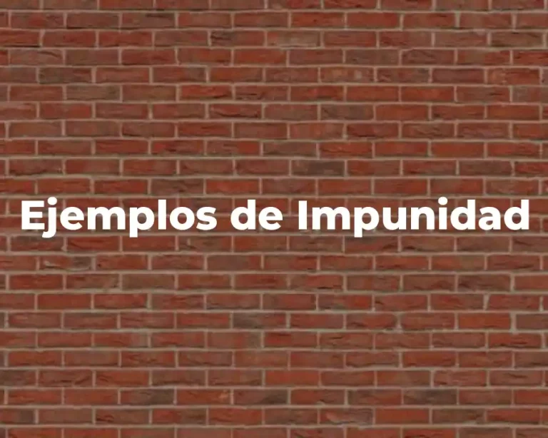 Ejemplos de Impunidad