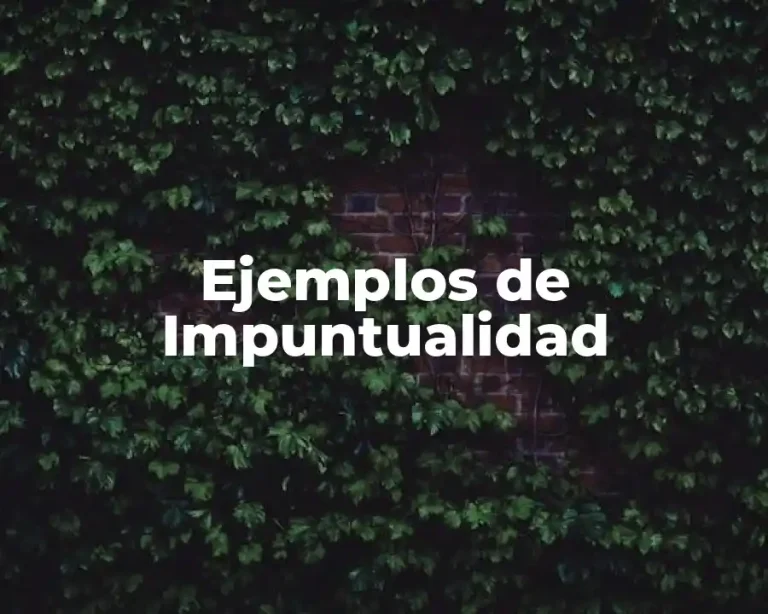 Ejemplos de Impuntualidad