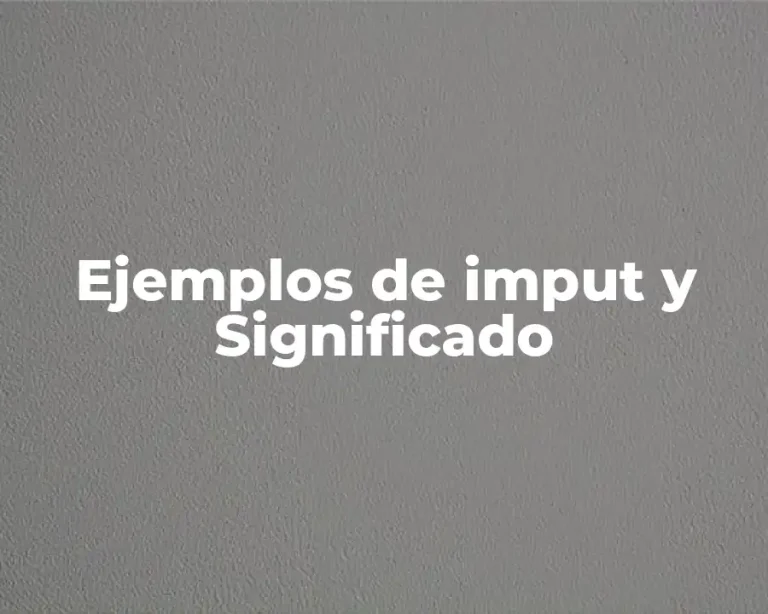 Ejemplos de imput y Significado