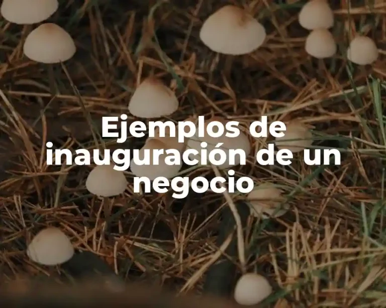 Ejemplos de inauguración de un negocio
