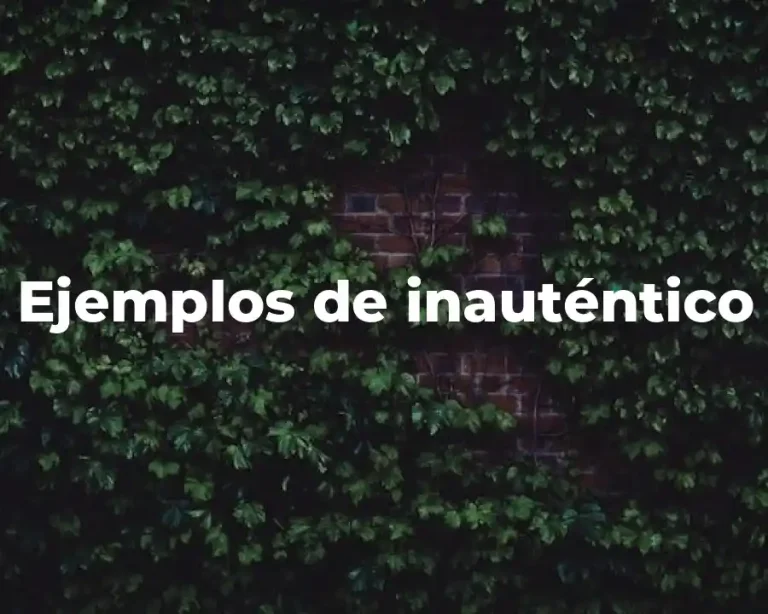 Ejemplos de inauténtico