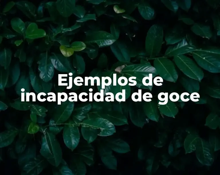 Ejemplos de incapacidad de goce