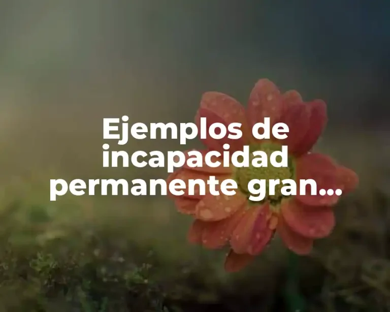 Ejemplos de incapacidad permanente gran invalidez y Significado
