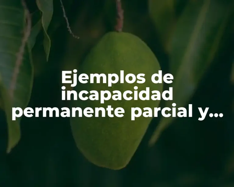 Ejemplos de incapacidad permanente parcial y total