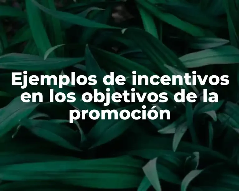 Ejemplos de incentivos en los objetivos de la promoción