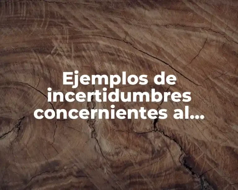 Ejemplos de incertidumbres concernientes al esfuerzo y a la resistencia y Significado