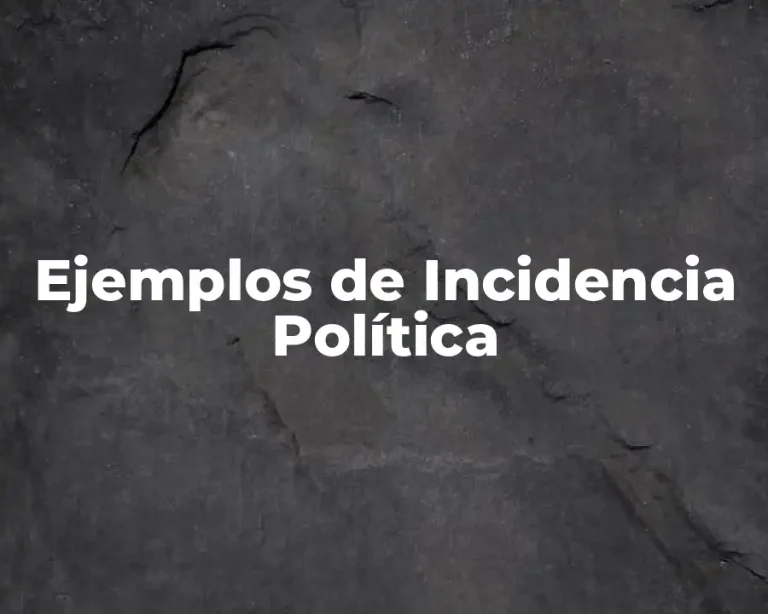 Ejemplos de Incidencia Política