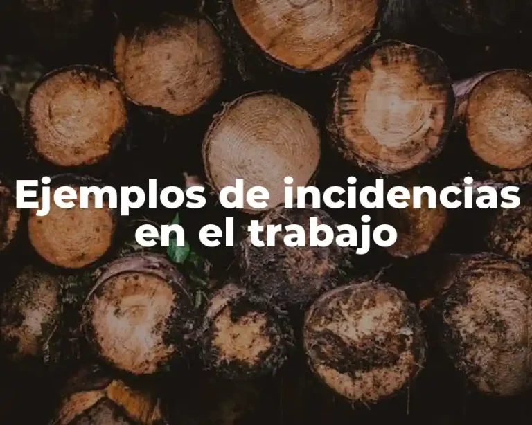 Ejemplos de incidencias en el trabajo