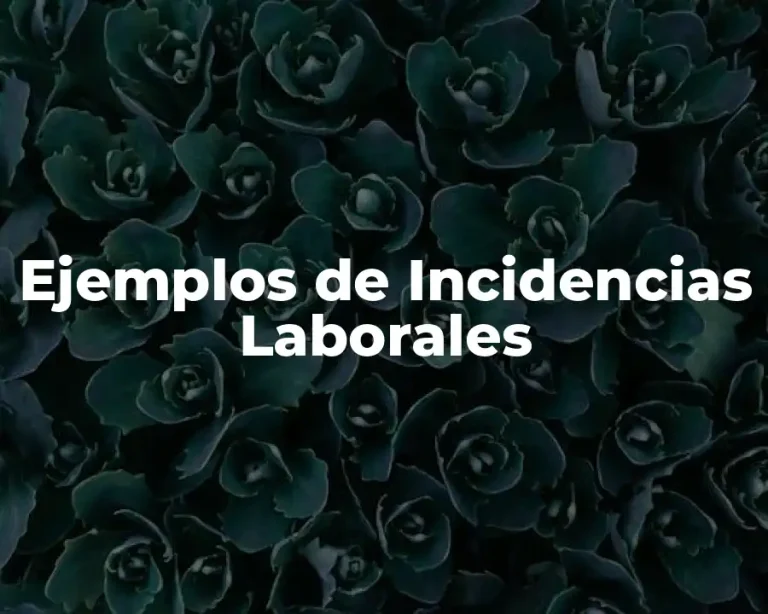 Ejemplos de Incidencias Laborales