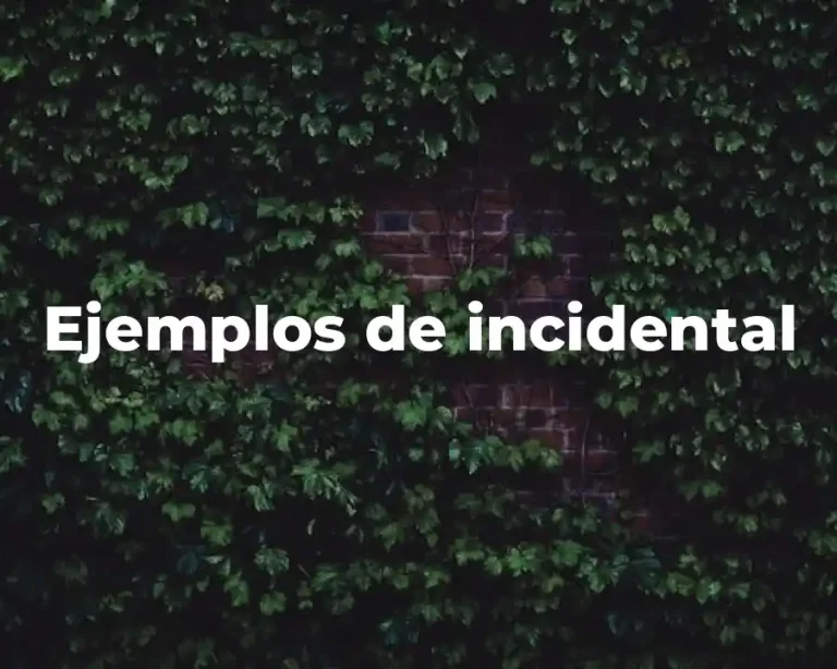 Ejemplos de incidental