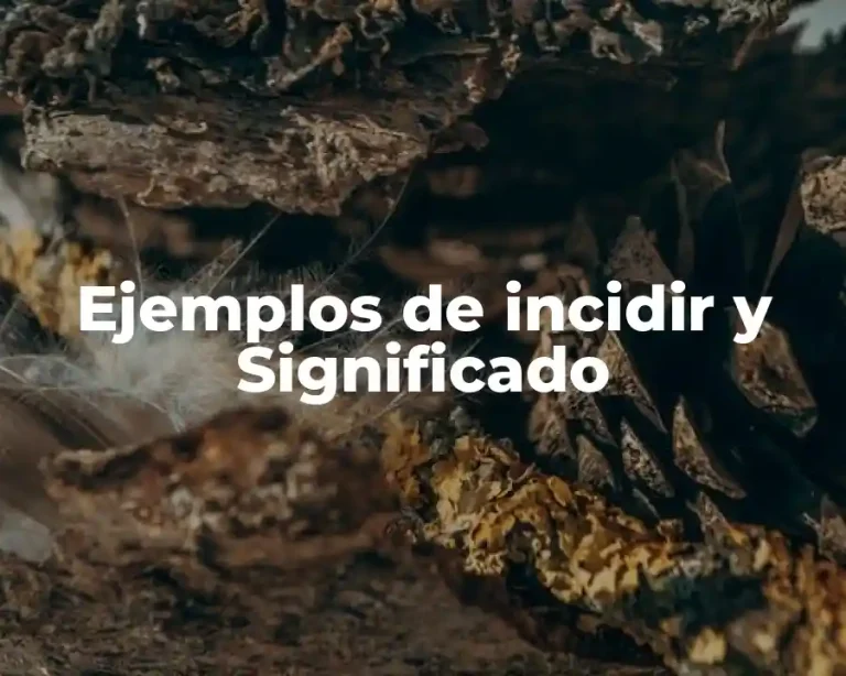 Ejemplos de incidir y Significado