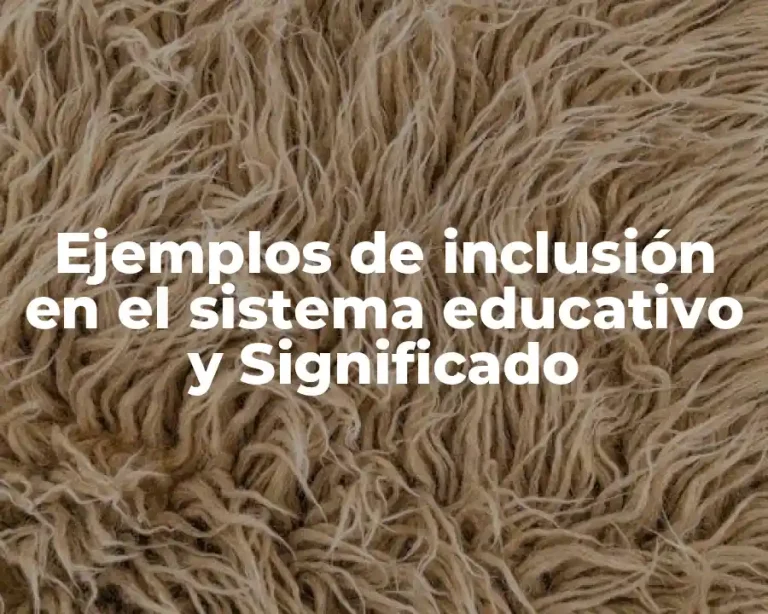 Ejemplos de inclusión en el sistema educativo y Significado