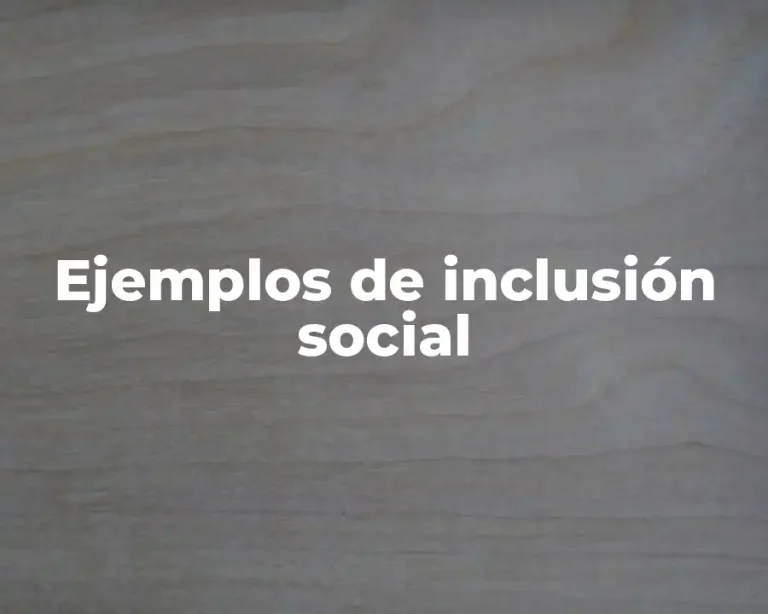 Ejemplos de inclusión social