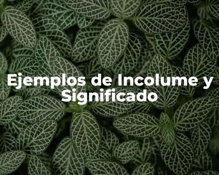 Ejemplos de Incolume y Significado
