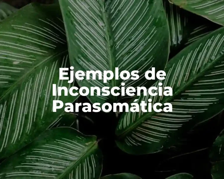 Ejemplos de Inconsciencia Parasomática