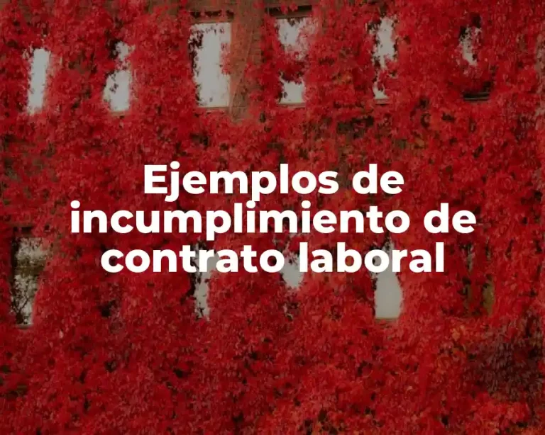 Ejemplos de incumplimiento de contrato laboral