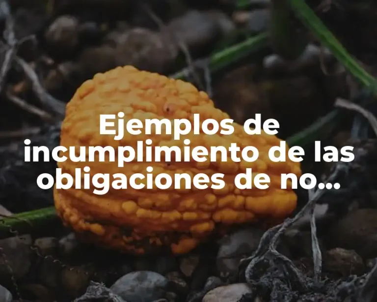 Ejemplos de incumplimiento de las obligaciones de no hacer