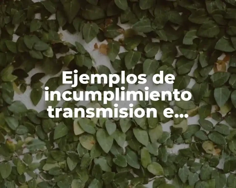 Ejemplos de incumplimiento transmision e inexistencia de las obligaciones y Significado