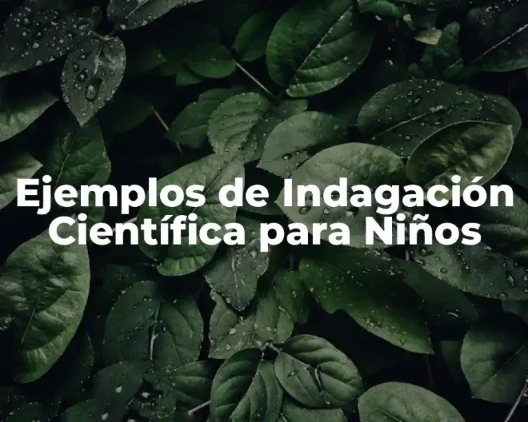 Ejemplos de Indagación Científica para Niños