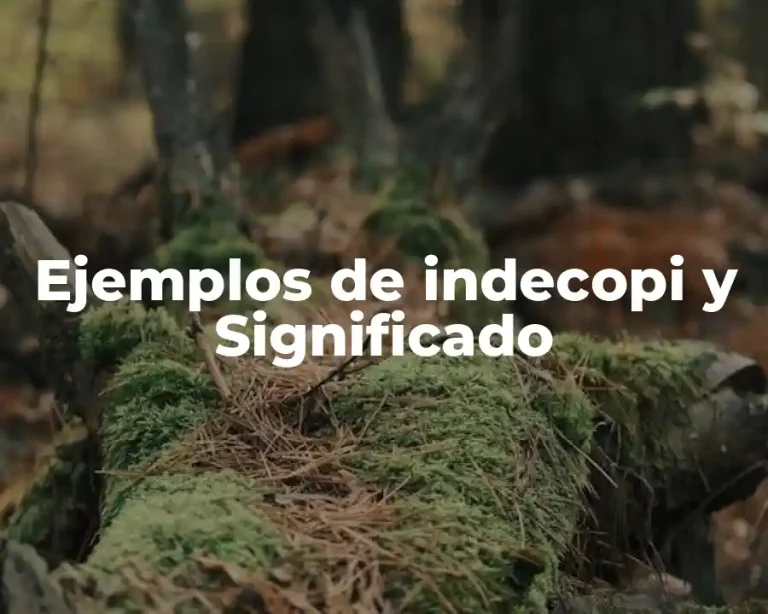 Ejemplos de indecopi y Significado