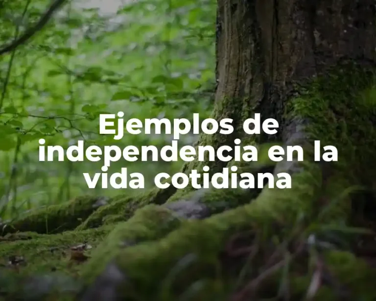 Ejemplos de independencia en la vida cotidiana