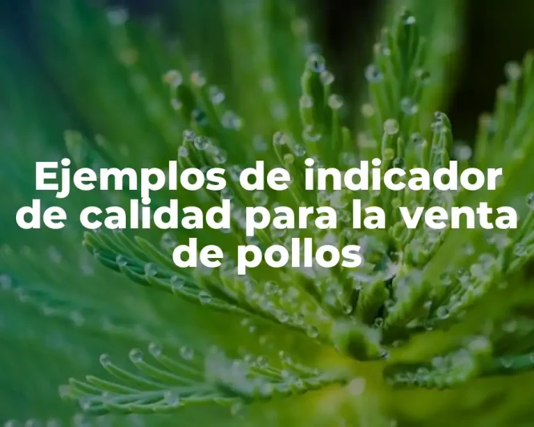 Ejemplos de indicador de calidad para la venta de pollos