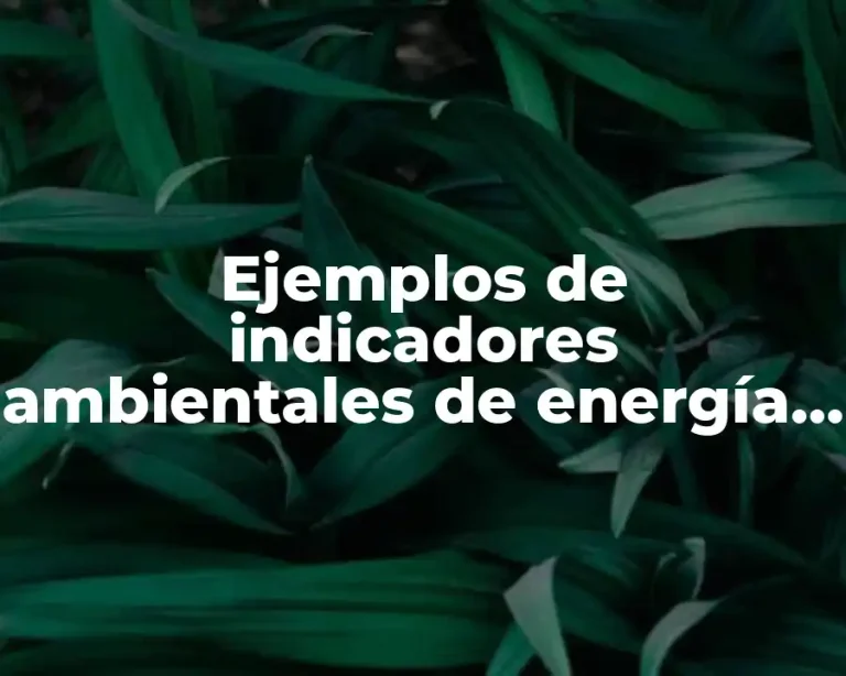 Ejemplos de indicadores ambientales de energía eléctrica en escuelas y Significado