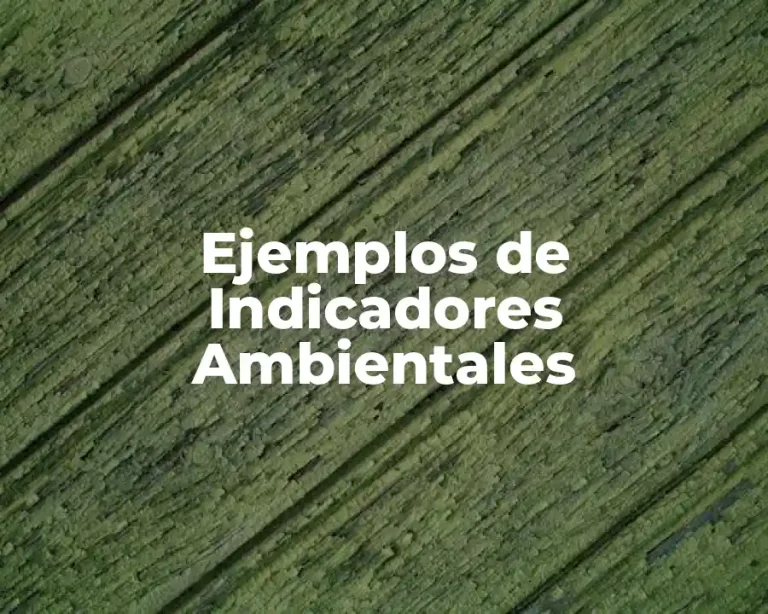 Ejemplos de Indicadores Ambientales