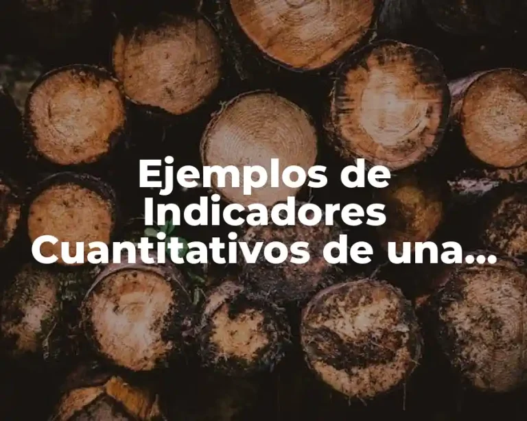 Ejemplos de Indicadores Cuantitativos de una Escuela de Basquetbol y Significado