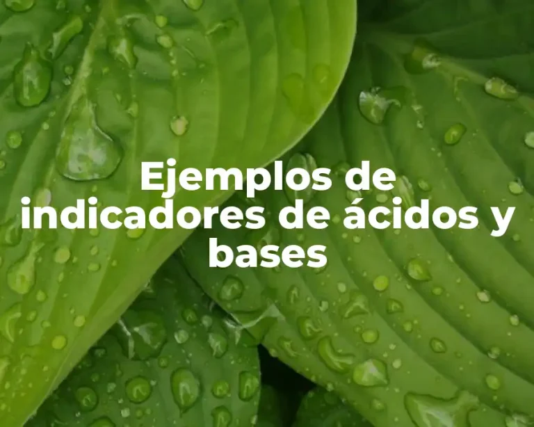 Ejemplos de indicadores de ácidos y bases