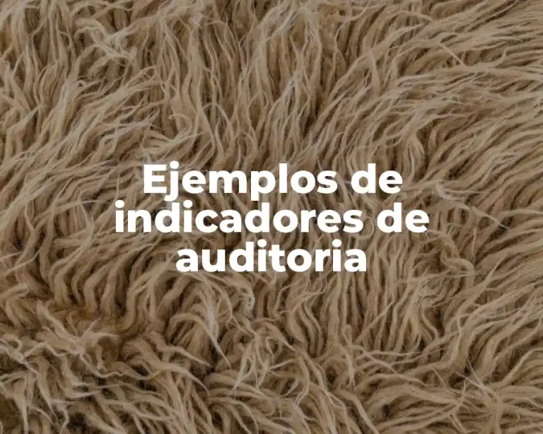 Ejemplos de indicadores de auditoria