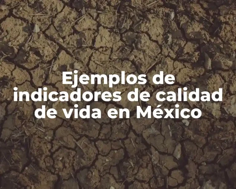 Ejemplos de indicadores de calidad de vida en México