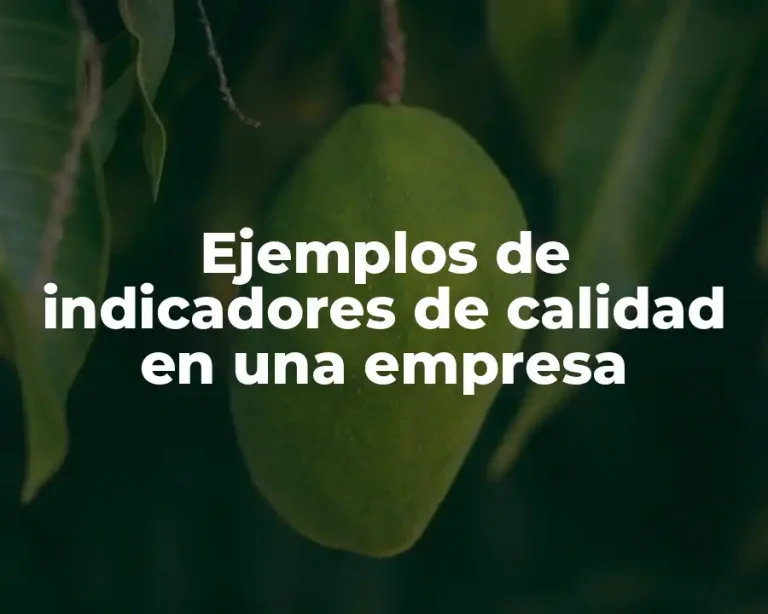 Ejemplos de indicadores de calidad en una empresa