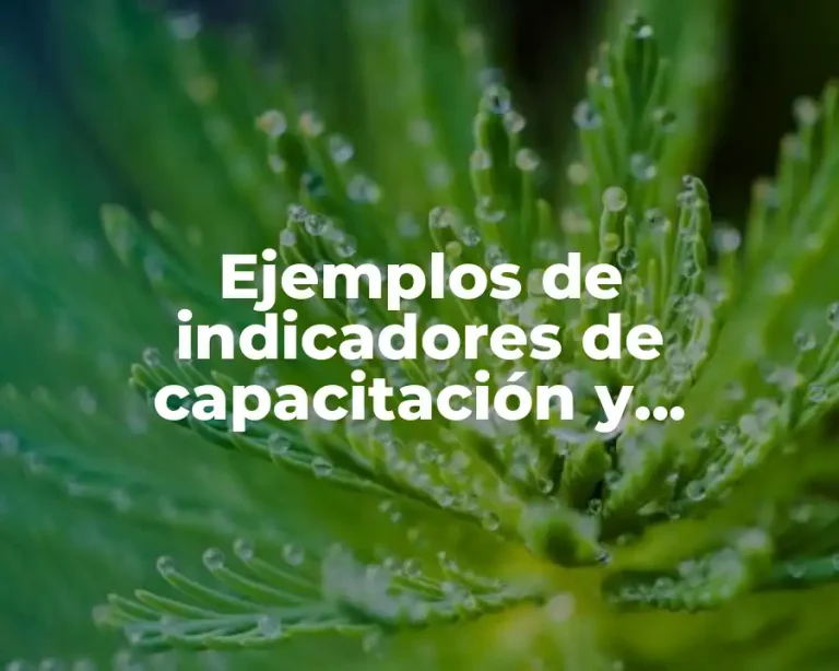 Ejemplos de indicadores de capacitación y desarrollo