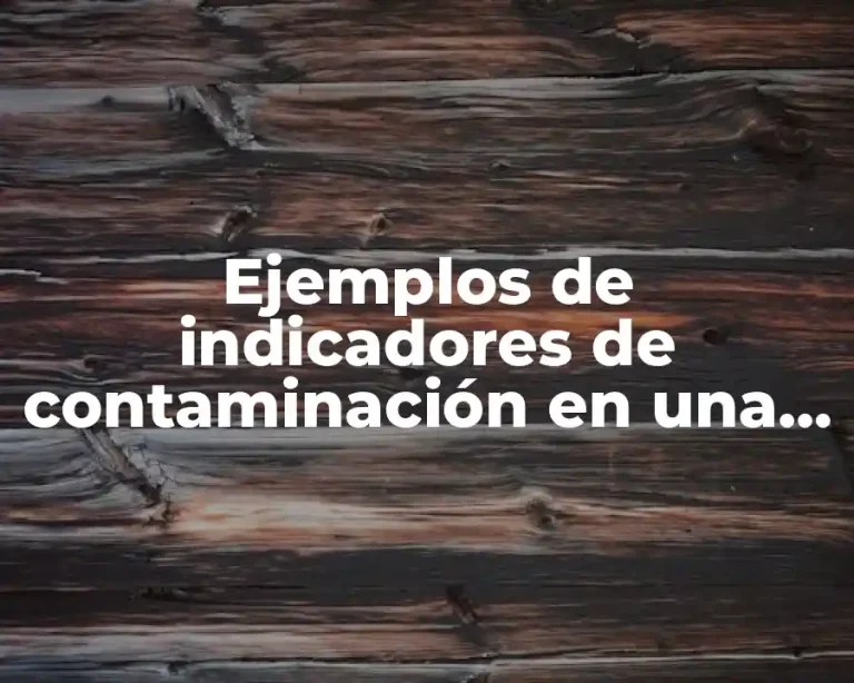 Ejemplos de indicadores de contaminación en una empresa de transporte