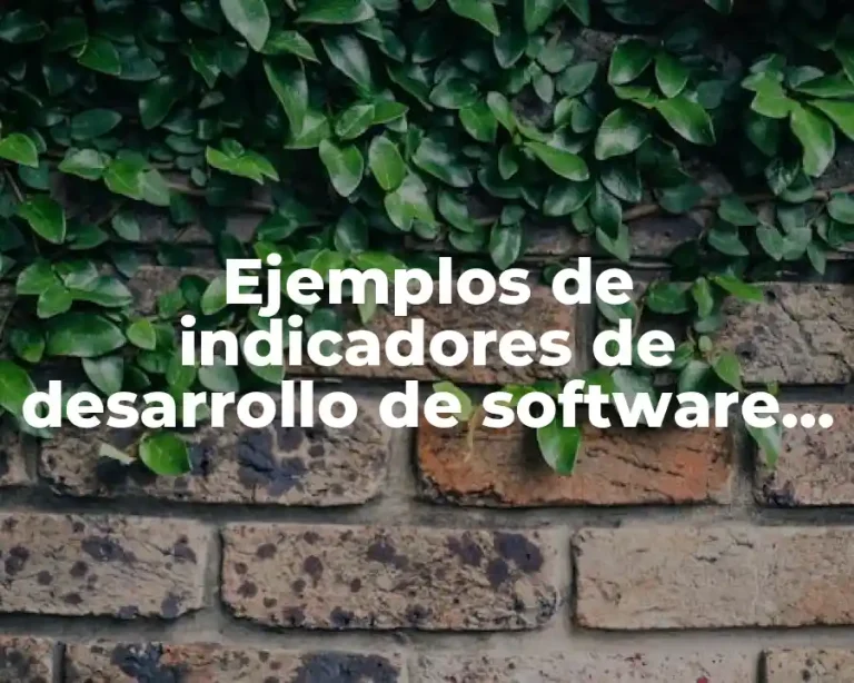 Ejemplos de indicadores de desarrollo de software y Significado