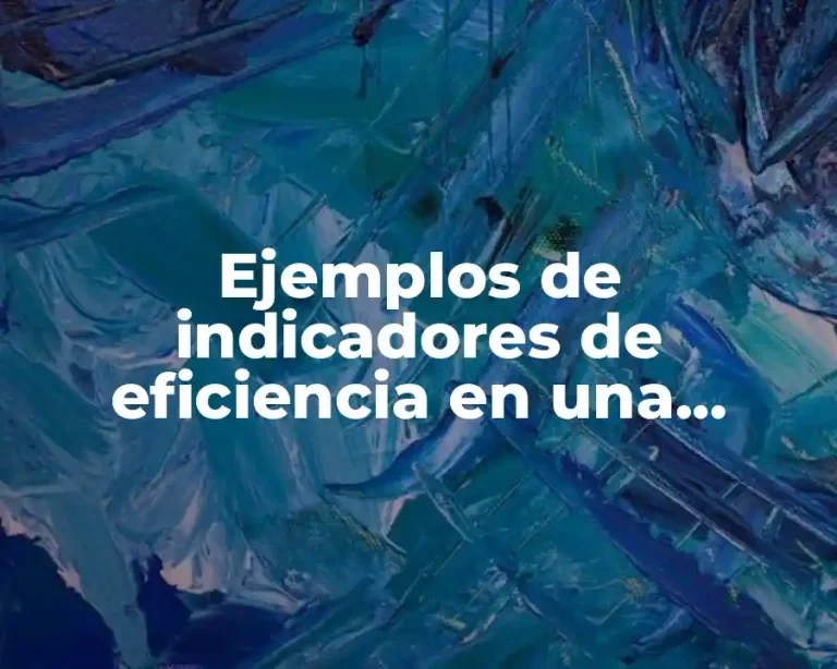 Ejemplos de indicadores de eficiencia en una empresa de ropa
