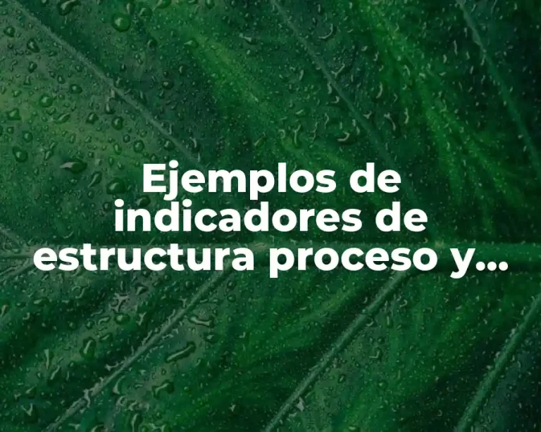 Ejemplos de indicadores de estructura proceso y resultado decreto 1072