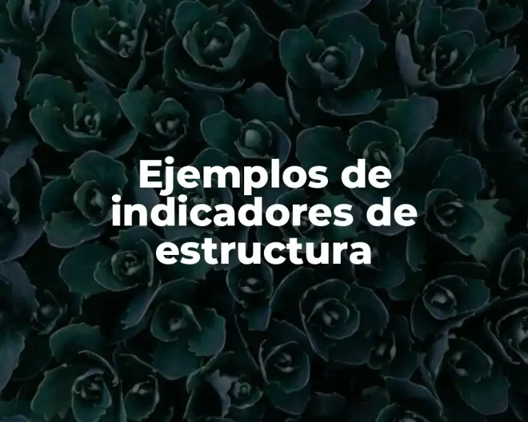 Ejemplos de indicadores de estructura