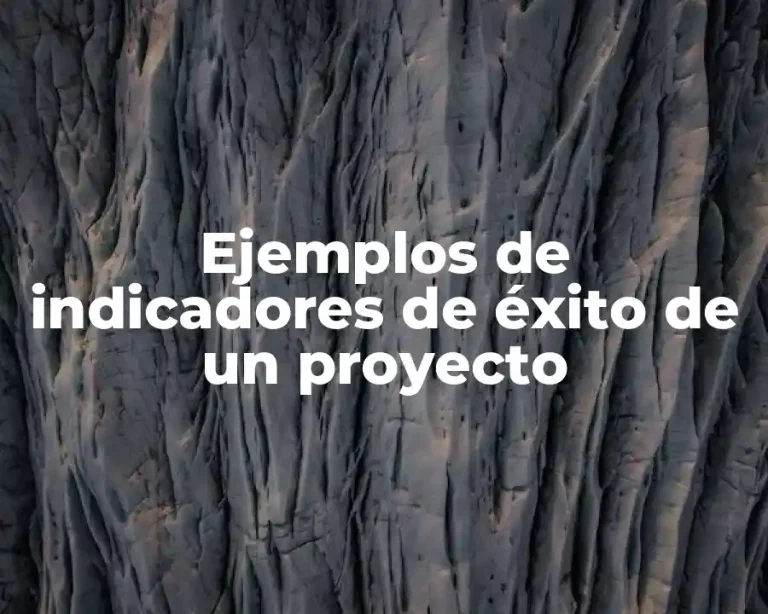 Ejemplos de indicadores de éxito de un proyecto