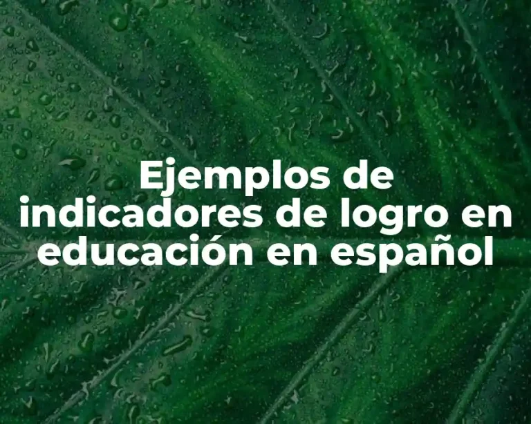 Ejemplos de indicadores de logro en educación en español